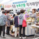 강서구-14 이미지