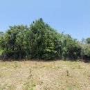 중문동-1 이미지