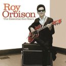 [올드팝] In Dreams - Roy Orbison 이미지