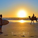 지도로 떠나는 세계 문화B 이미지