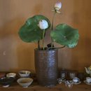 선재마을 이미지