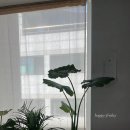 여름의피아노스튜디오