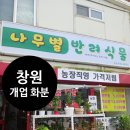 창원공업사 | 창원 개업화분 배달 나무별반려식물 후기
