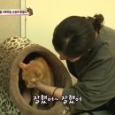 일파만파농장 이미지