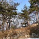 충주 문성자연휴양림 숲속의 집 소나무 숙박 후기~