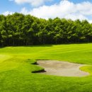 지금은 동(東)의  이미지