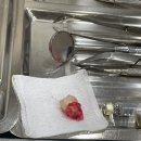 관악연세공감치과의원 이미지