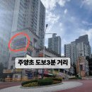 앤영수전문학원