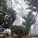 남천병원 사거리(7단지쪽) | W.1-5 웨딩홀 루이비스 컨벤션 강서 상담 후기 (계약 O)