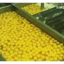 김밥속으로 이미지