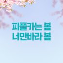 골드렌트카주 이미지