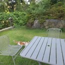 디스커버리풀빌라B 이미지