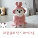 현이펫