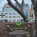 영포버티칼 이미지