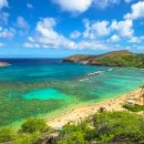 일동하와이 이미지