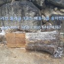 통나무민박3 이미지