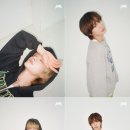 노매드