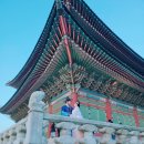서울 야외 웨딩 스냅 경복궁 고궁 궁궐 야간 한복 촬영 내돈내산