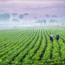 김동주농장 이미지