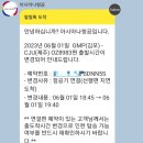 다오마트