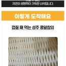 삼시세끼연구소 이미지