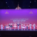 고개 들어 ABT를 보라.. 더나잇인뉴욕 내한공연 후기 : 유니버설아트센터 1층 시야 한성우 전민철 등