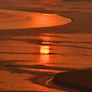 순천만 풍경 이미지