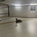 현중농장 이미지