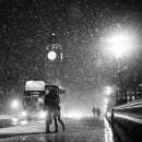 더레인(The rain) 이미지