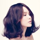 스타헤어(STAR HAIR)