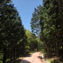 묘량삼효보건진료소 이미지