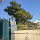 구조라해수욕장(중앙) 이미지