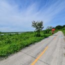 비비정예술열차 이미지