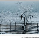 성산의 아침 이미지