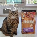 나우수퍼 | 기호성 좋은 노묘 고양이 사료 추천, 나우프레쉬 시니어 후기