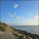 다대사 | 다대씨파크 다대포횟집 푸짐한 전어회 하단활어(후기/주차)