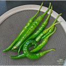 착한수레 | 25. 9월. 사랑스러운 첫밤보다 좋은 남편 착한 일 내가 밥 먹으라는 말만 하려고 전화한 줄 알아...