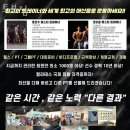 토브 이미지