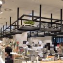 소노펠리체 델피노 이미지