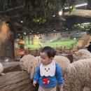 승연전자 | 인천 실내 아이들과 가볼만한곳 추천, 인천 실내동물원 쥬벅스 15개월 아기 방문후기