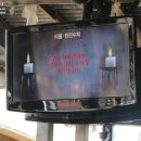 윤쌤한의원 | 에버랜드 호러메이즈 1탄