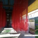 의리농장 이미지