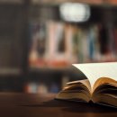 학습심리학 이미지