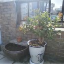 로드엠펜션 가족&단체&커플 이미지