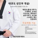 용인대튼튼태권도 이미지