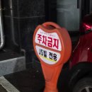 용용선생평택고덕점 | 평택고덕네일 이레네일 크리스마스아트맛집 젤네일 후기