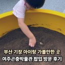 여주곤충박물관 | 부산 기장 아이랑 갈만한 곳 롯데몰 여주곤충박물관 후기