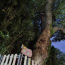 동광종합카센타 이미지