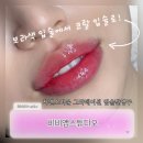 비비 브라운(B.B. BROWN) | [동대문 입술 반영구] 비비앱스튜디오 입술 반영구 솔직후기! (feat. 할인 이벤트까지)