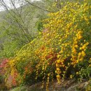 경천 농장 이미지